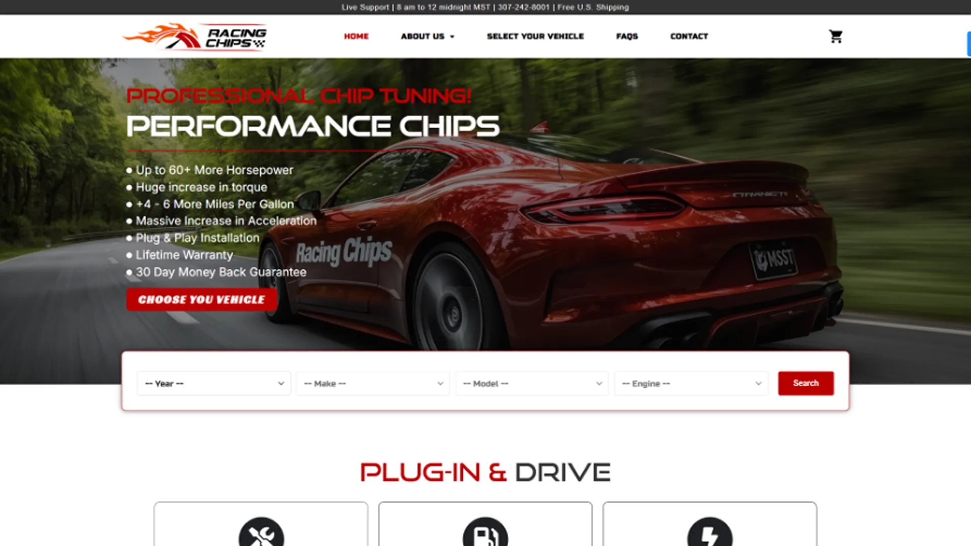 Racing Chips