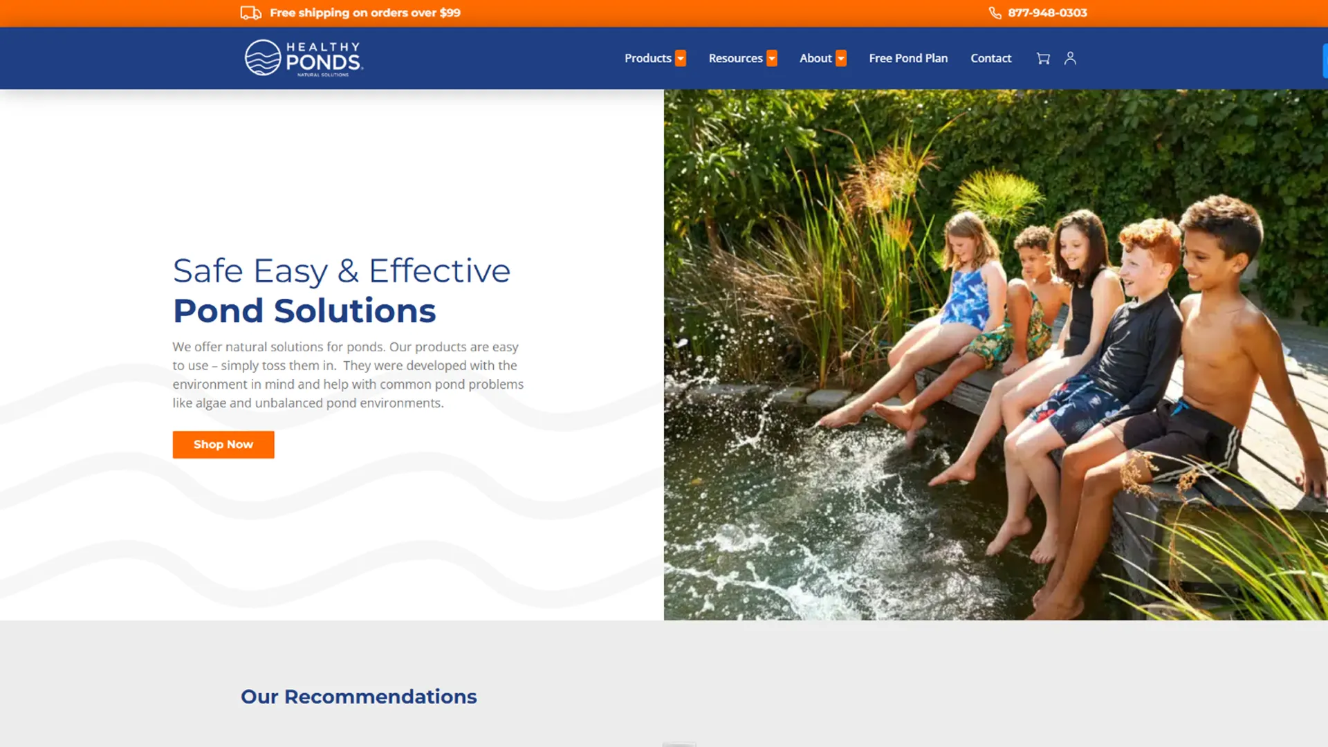 Healthy Ponds